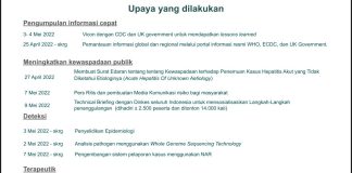 Hepatitis Akut Mulai Meluas, Kemenkes Sampaikan Langkah Penanganannya