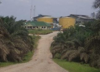 Diduga Produknya Bakal Diblokir Nestle, Astra Agro Tampik Isu Pelanggaran HAM