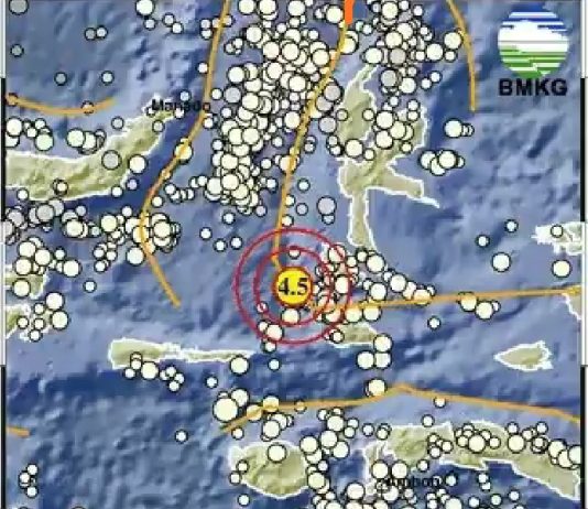 Pagi Ini Labuha Maluku Utara Diguncang Gempa 4,5 Magnitudo