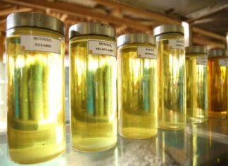 RI Diperkirakan Akan Hemat Devisa Rp161 Triliun dari Program B35