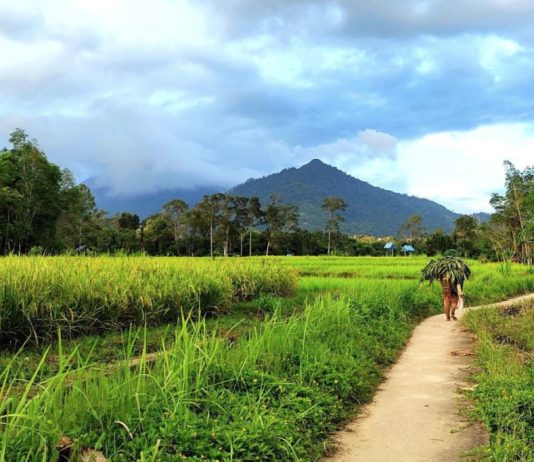 Kemenparekraf Siapkan Desa Wisata Topang Pembangunan di IKN
