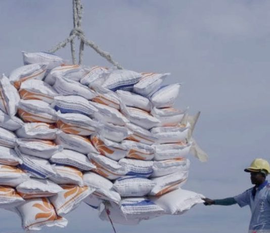BPS Sebut Januari hingga Februari Impor Beras Meroket 93 Persen