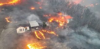 Kebakaran Hutan Terburuk di Korea Selatan: Ribuan Mengungsi dan Warisan Sejarah Terancam Musnah