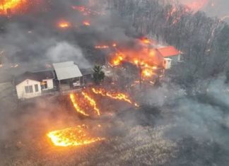 Kebakaran Hutan Terburuk di Korea Selatan: Ribuan Mengungsi dan Warisan Sejarah Terancam Musnah