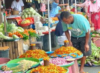 Harga Pangan Awal Pekan