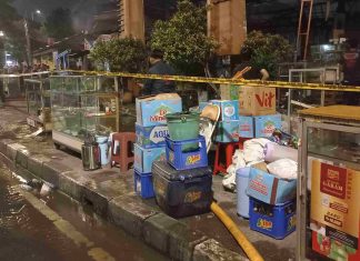 Kebakaran Taman Puring