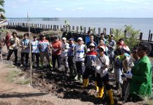 Tumbuhkan Cinta Lingkungan di Kalangan Generasi Z, Kilang Pertamina Dumai Tanam Pohon di 2 Lokasi di Kecamatan Medang Kampai