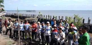 Tumbuhkan Cinta Lingkungan di Kalangan Generasi Z, Kilang Pertamina Dumai Tanam Pohon di 2 Lokasi di Kecamatan Medang Kampai