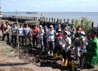 Tumbuhkan Cinta Lingkungan di Kalangan Generasi Z, Kilang Pertamina Dumai Tanam Pohon di 2 Lokasi di Kecamatan Medang Kampai