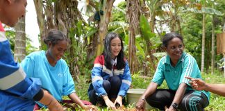 Kembangkan Program Berkelanjutan, Ini Deretan Program Lingkungan Kilang Pertamina