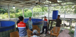 Manfaatkan Teknologi Bioflok, Cara Kilang Pertamina Dukung Astacita Swasembada Pangan