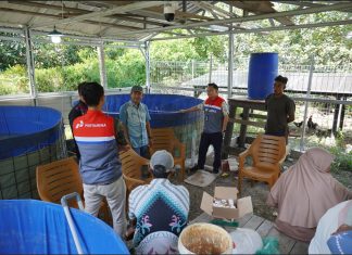 Manfaatkan Teknologi Bioflok, Cara Kilang Pertamina Dukung Astacita Swasembada Pangan