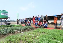 Program TJSL PT Kilang Pertamina Internasional Beri Dampak Positif ke Ribuan Penerima Manfaat