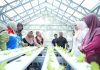 Kilang Pertamina Internasional Topang Kemandirian Energi