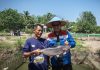 Pelestarian Ikan Belida: Upaya Kilang Pertamina Selamatkan Identitas Sungai Musi