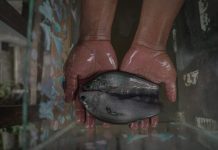 Pokdakan Tunas Makmur Sukses Domestikasi Ikan Belida Putak, Dukung Implementasi Regulasi Baru KKP