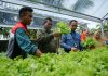 Kilang Pertamina Dumai, Hadirkan Perubahan Melalui Program Bedelau Minapolitan