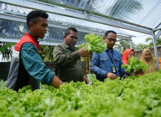 Kilang Pertamina Dumai, Hadirkan Perubahan Melalui Program Bedelau Minapolitan