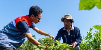 Rangkul Petani, Kilang Pertamina Ikut Jaga Ketahanan Pangan Lewat Potensi Lokal