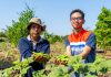 Semangat Hari Tani 2025: Kilang Pertamina Dumai Sulap Lahan Gambut Jadi Sumber Ekonomi Petani
