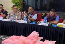 Bawa Ratusan Ribu Ekstasi, Kurir Narkoba Kecelakaan di Lampung Akhirnya Ditangkap Polisi