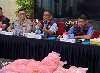 Bawa Ratusan Ribu Ekstasi, Kurir Narkoba Kecelakaan di Lampung Akhirnya Ditangkap Polisi Bawa Ratusan Ribu Ekstasi, Kurir Narkoba Kecelakaan di Lampung Akhirnya Ditangkap Polisi