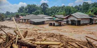 Empat Perusahaan Disegel Terkait Dugaan Penyebab Banjir di Sumatera