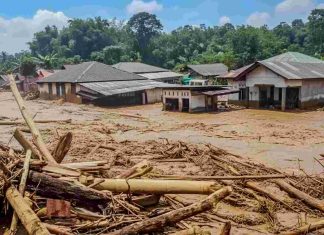 Empat Perusahaan Disegel Terkait Dugaan Penyebab Banjir di Sumatera Empat Perusahaan Disegel Terkait Dugaan Penyebab Banjir di Sumatera