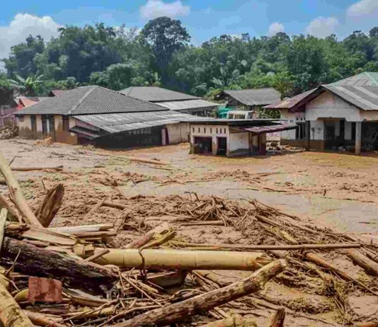 Empat Perusahaan Disegel Terkait Dugaan Penyebab Banjir di Sumatera Empat Perusahaan Disegel Terkait Dugaan Penyebab Banjir di Sumatera