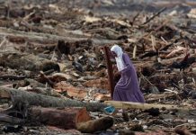 Pemerintah Lacak Asal Gelondongan Kayu Terbawa Banjir di Sumatera Lewat Citra Satelit