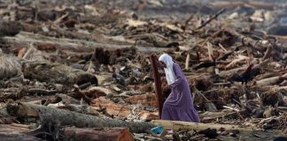 Pemerintah Lacak Asal Gelondongan Kayu Terbawa Banjir di Sumatera Lewat Citra Satelit