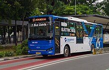 Pesepeda Tewas Usai Tabrak Bus TransJakarta di Jalan Sudirman, Ternyata Pejabat SKK Migas Pesepeda Tewas Usai Tabrak Bus TransJakarta di Jalan Sudirman, Ternyata Pejabat SKK Migas